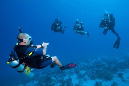 Enhance Your Diving Expertise